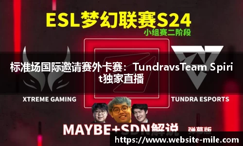标准场国际邀请赛外卡赛：TundravsTeam Spirit独家直播